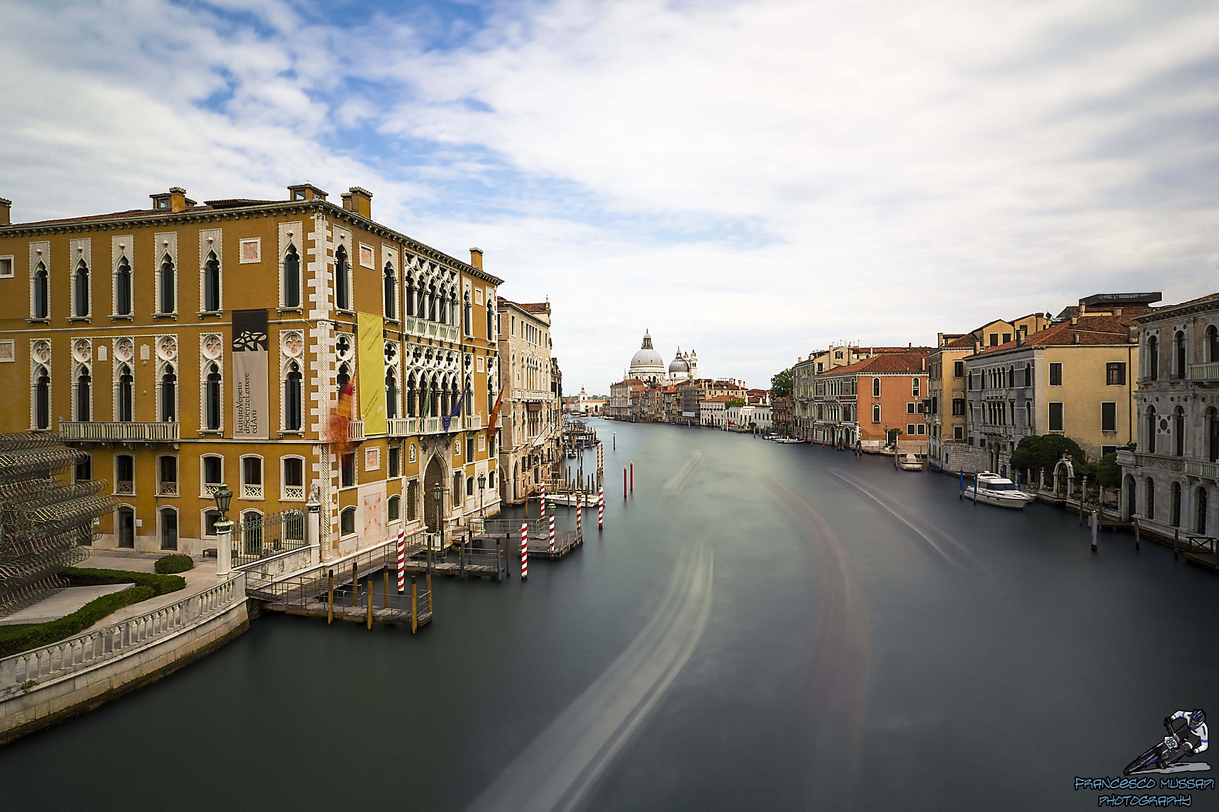 Venice in Motion