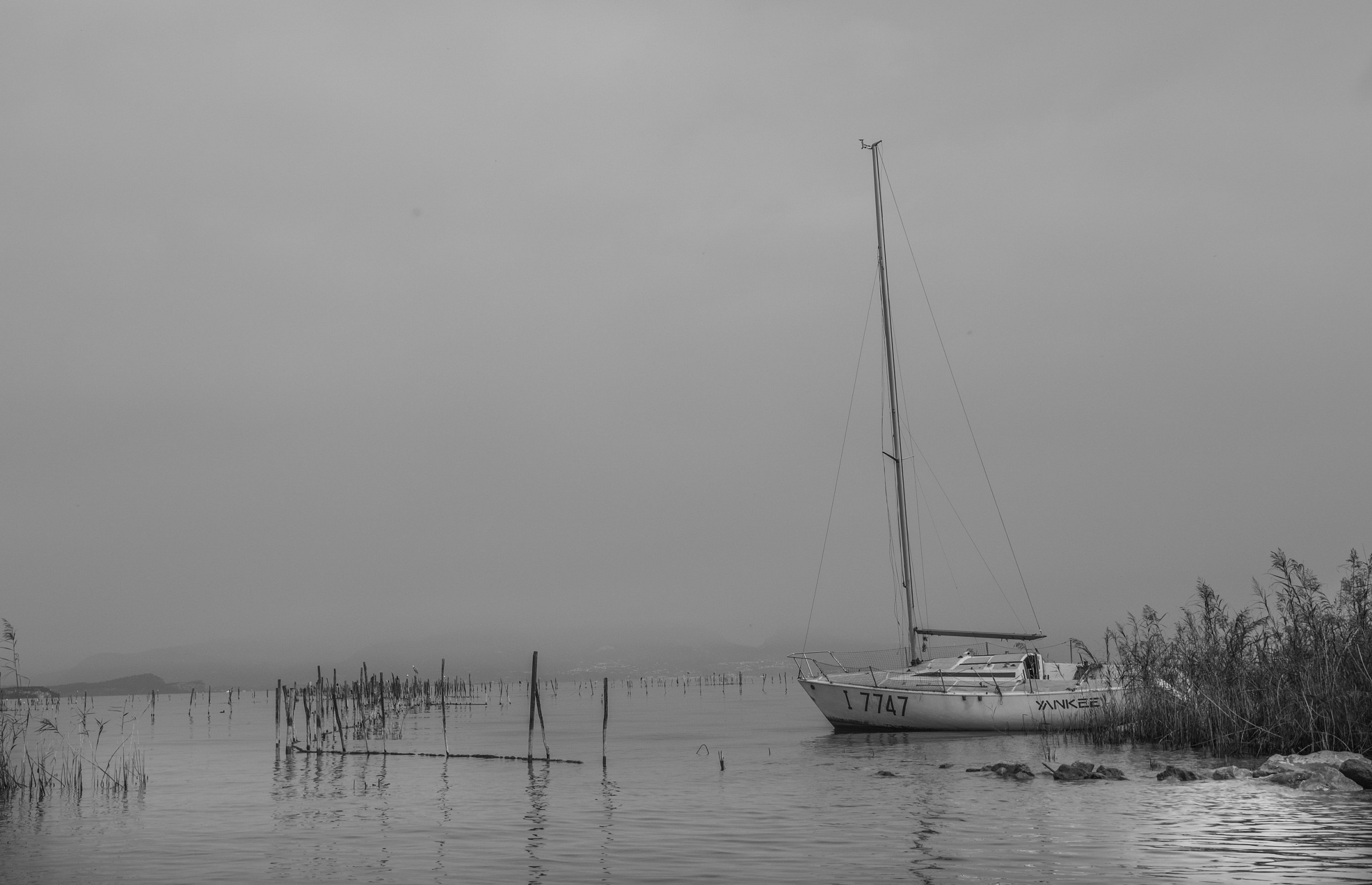 sirmione, punta gro B/N
