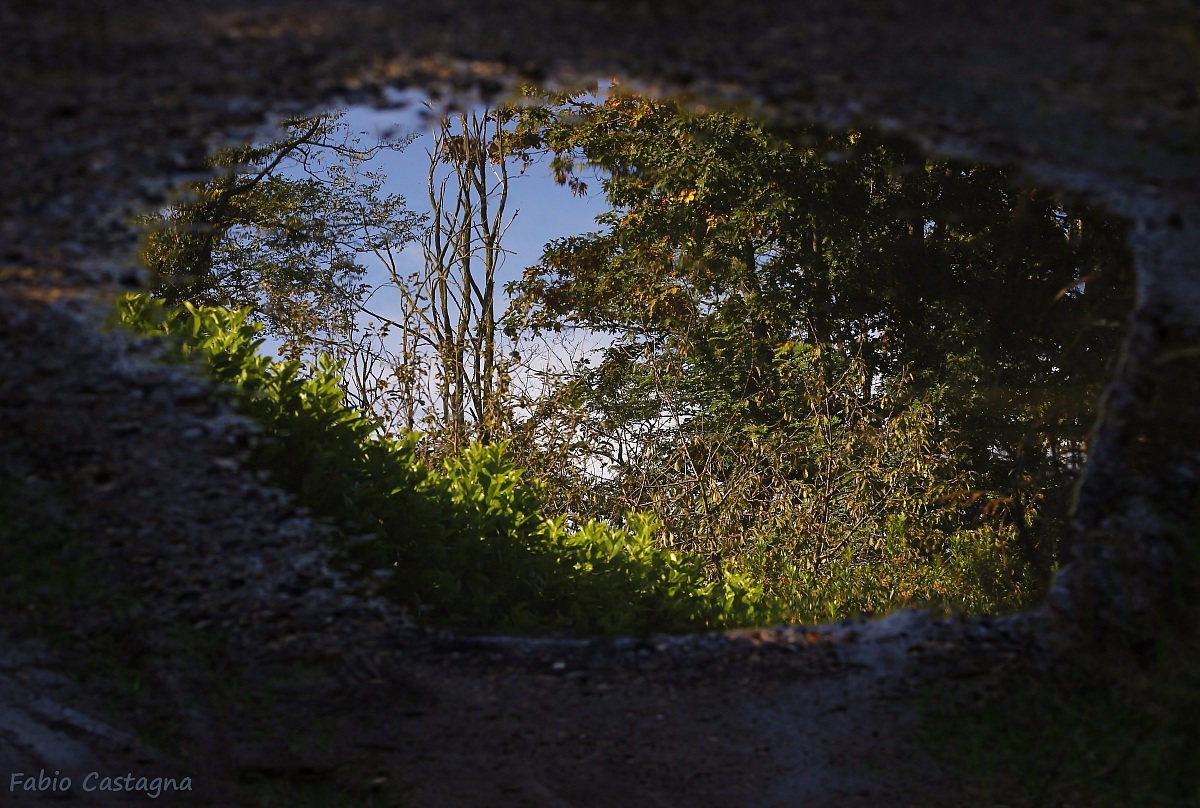 In the mirror natural