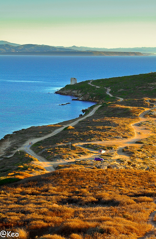 Mare Morto vista torre