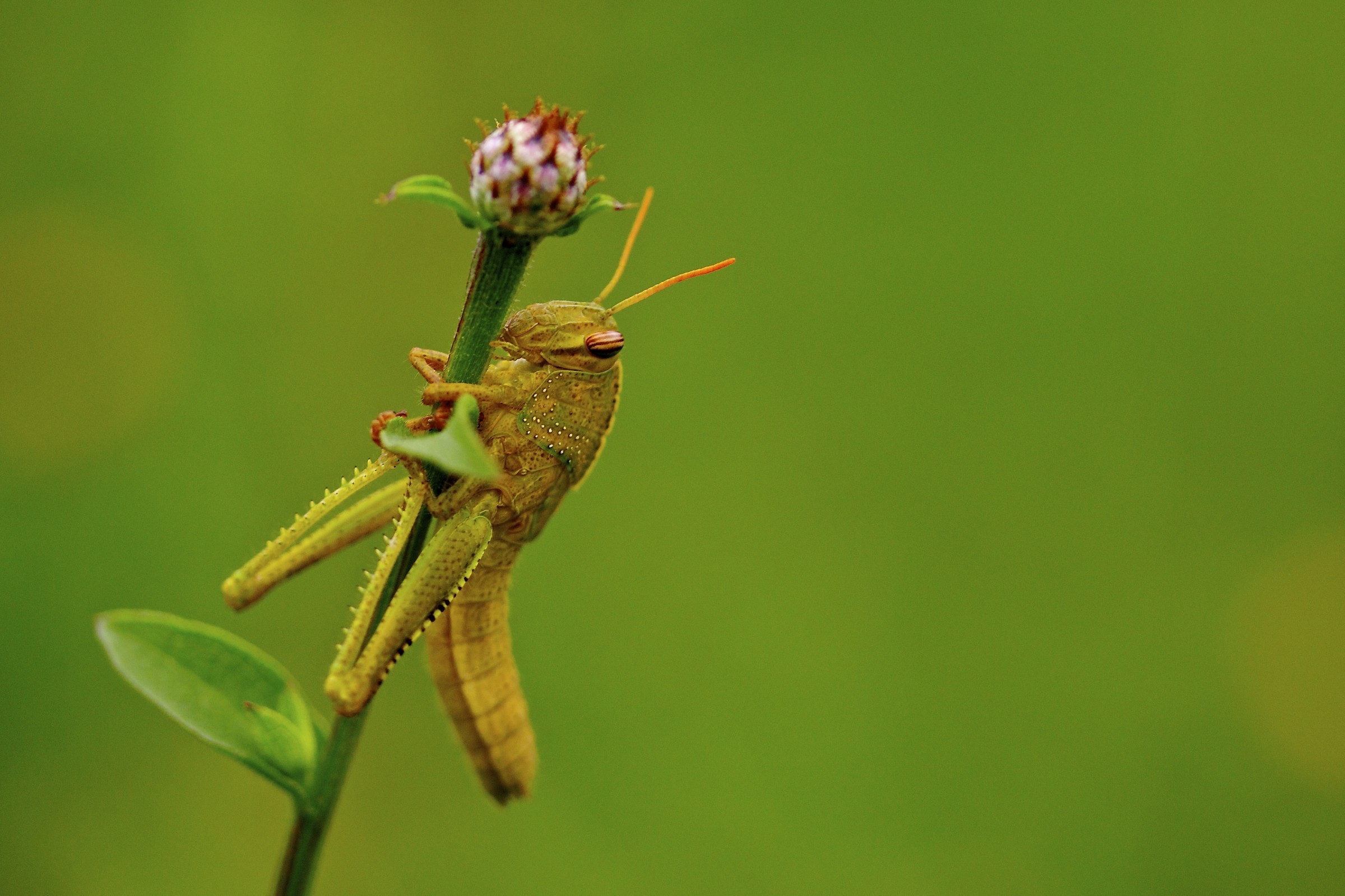 Aggrappati alle cose terrene