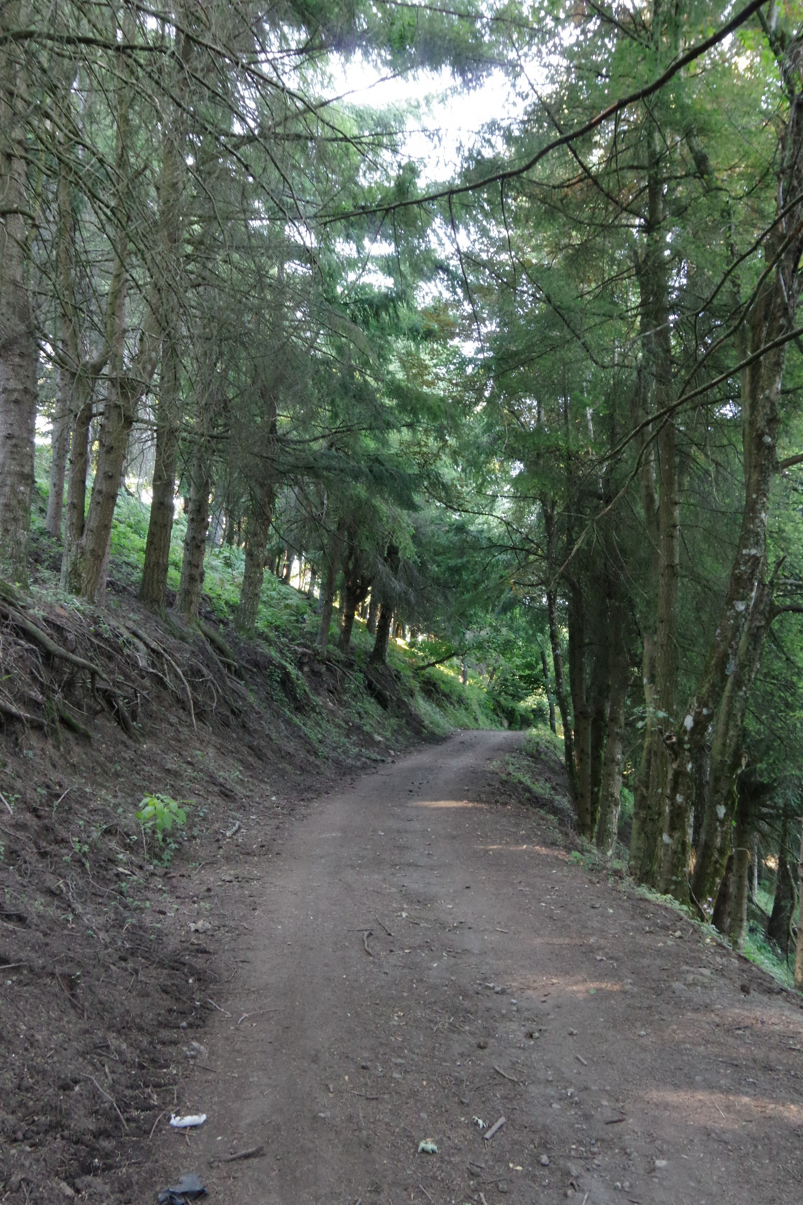 sentiero di montagna