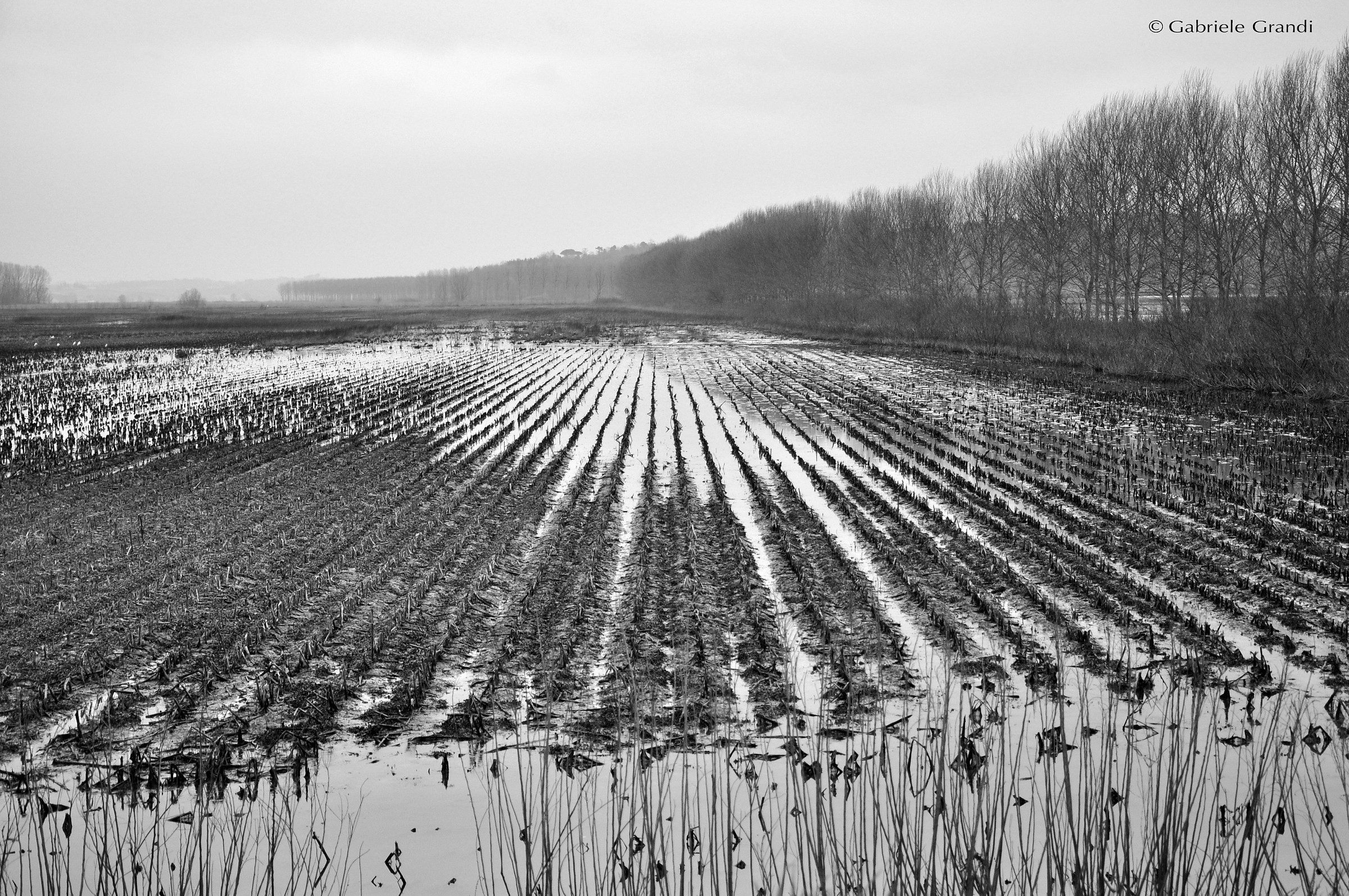 dialogue between land and water