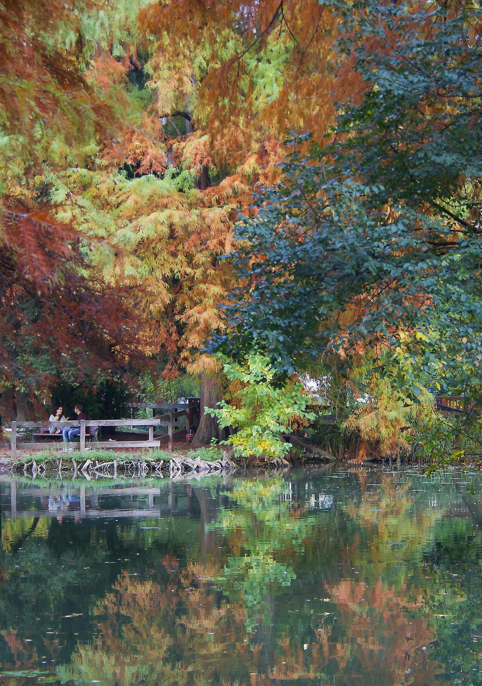 Reflections of Autumn