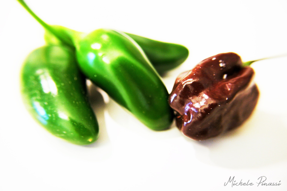 Jalapeno e Habanero Chocolate