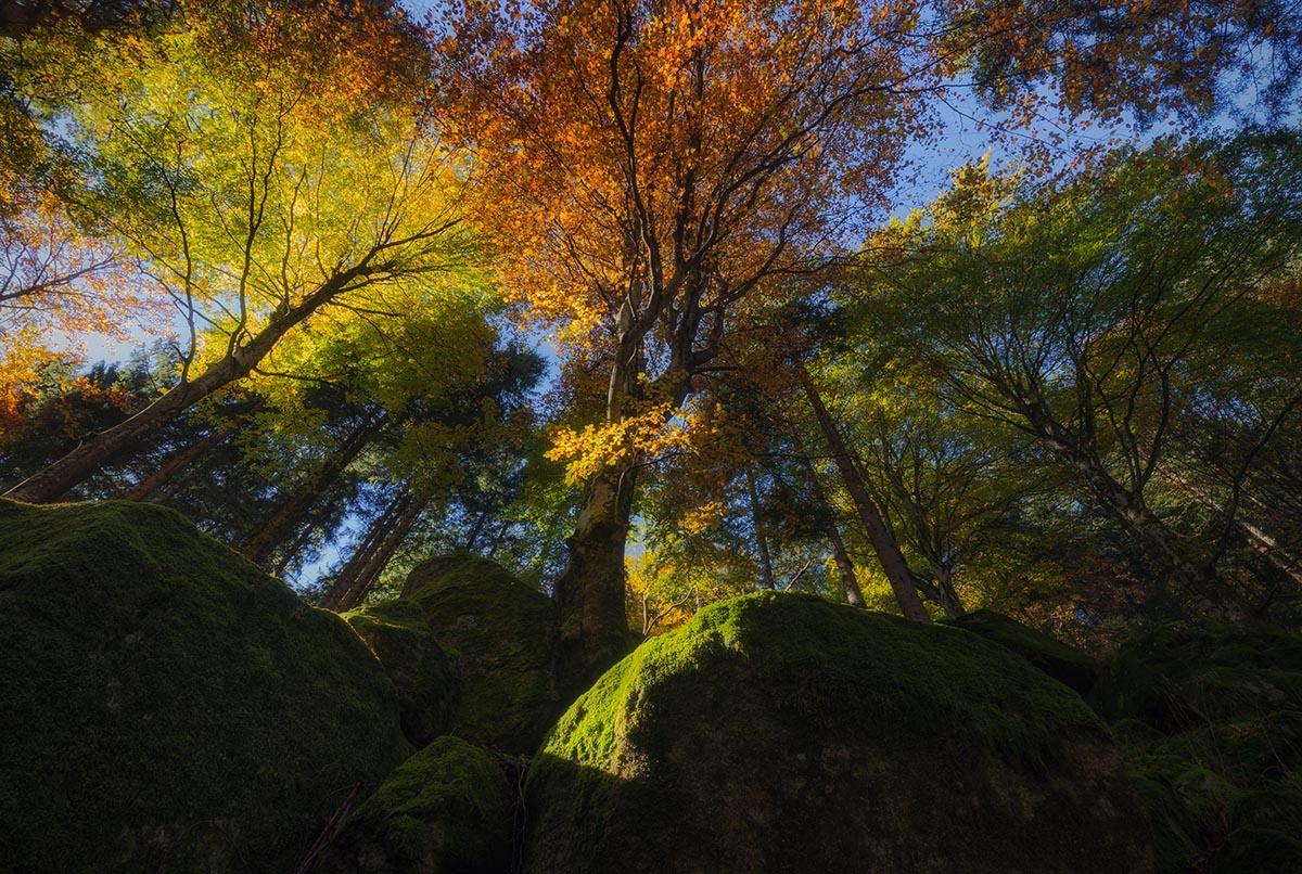 Colors between stones