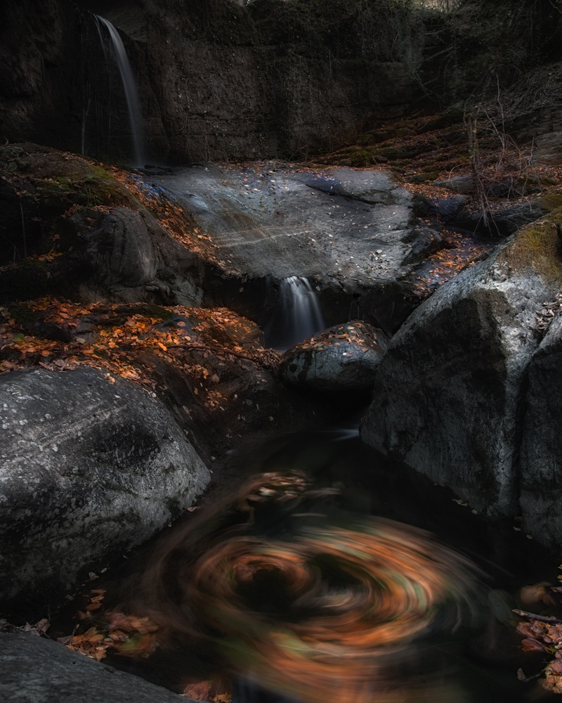 la danza delle foglie morte