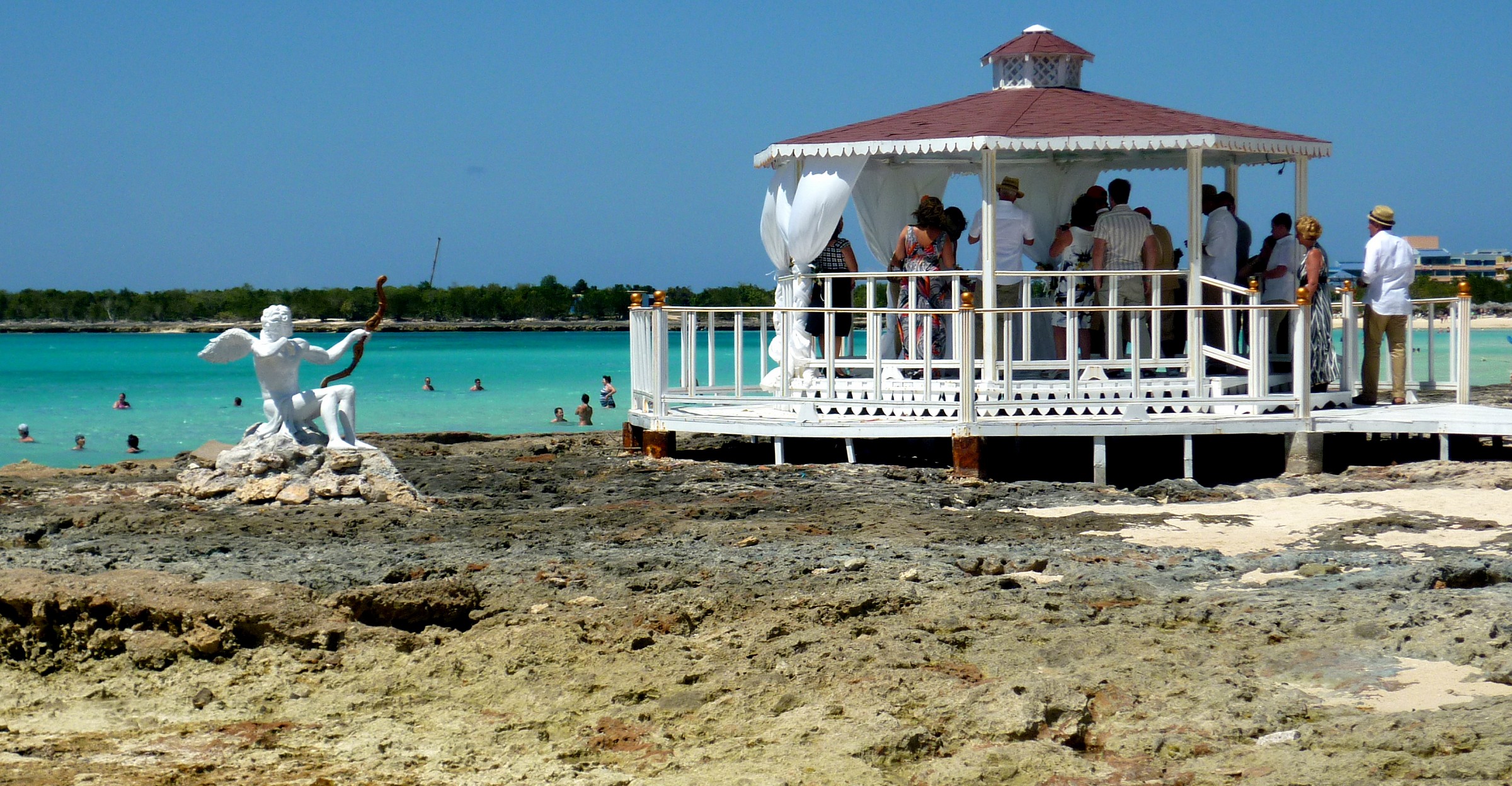 There are those who swim and those who marry