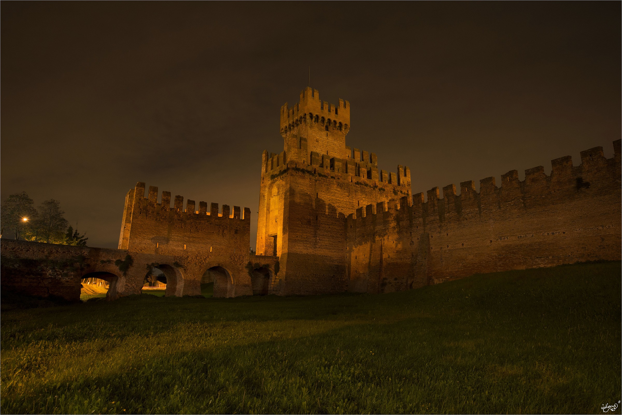 Castle of Trees at night