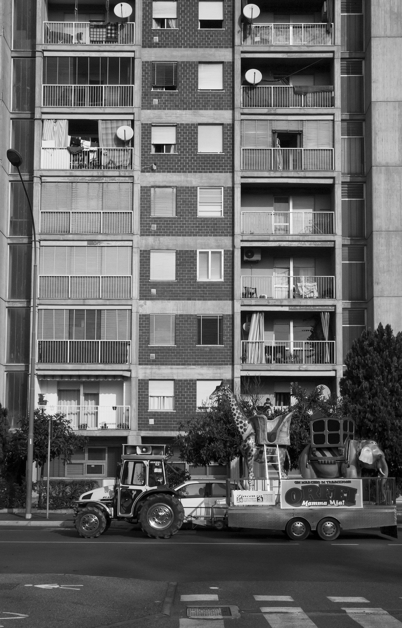 Arriva il circo in città