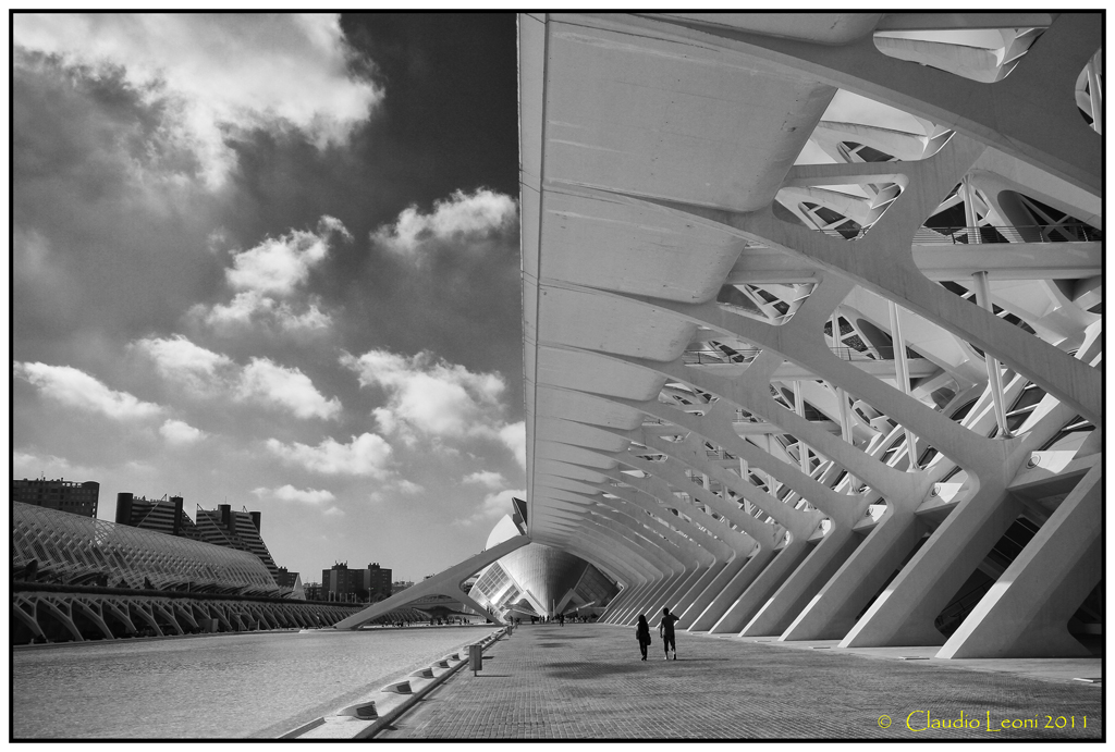 Museo-de-les-Ciences-Prìncipe-Felipe 1