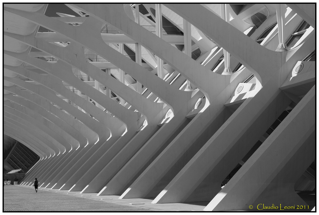 Museo-de-les-Ciences-Prìncipe-Felipe 2