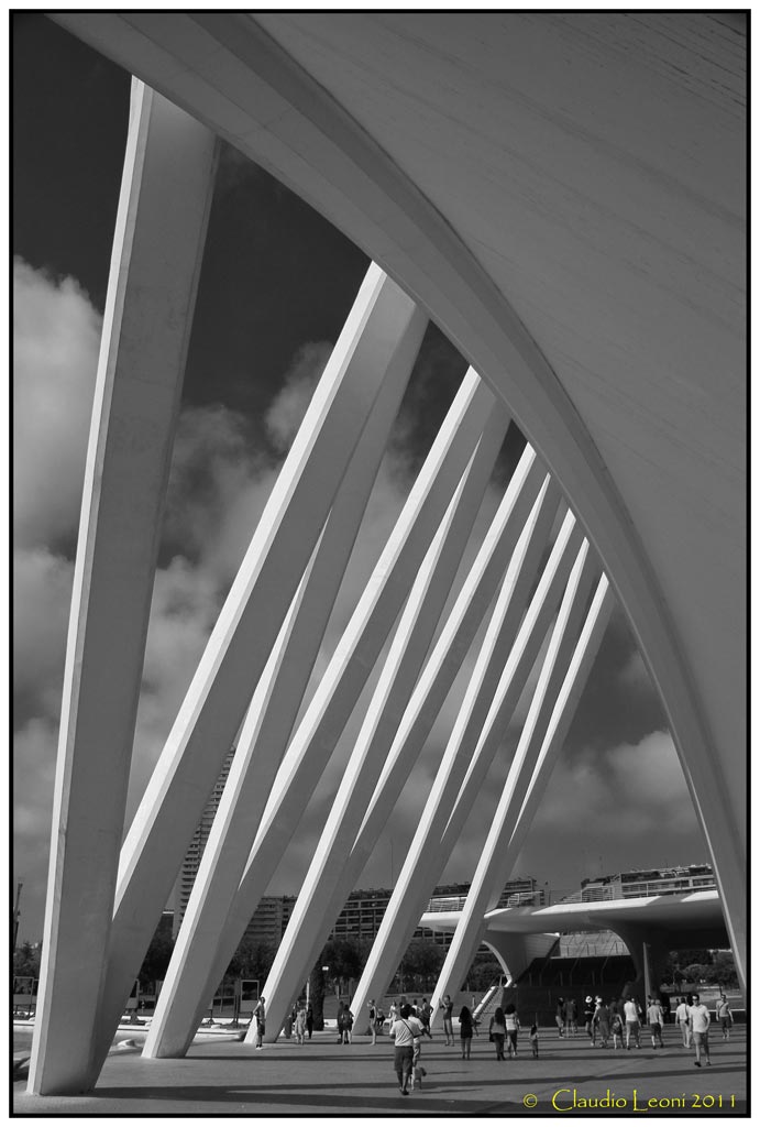 Museo-de-les-Ciences-Prìncipe-Felipe 6