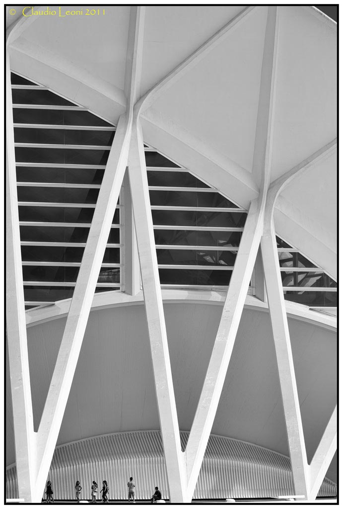 Museo-de-les-Ciences-Prìncipe-Felipe 7