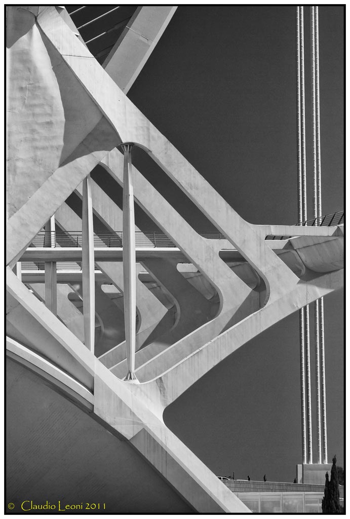 Museo-de-les-Ciences-Prìncipe-Felipe 9