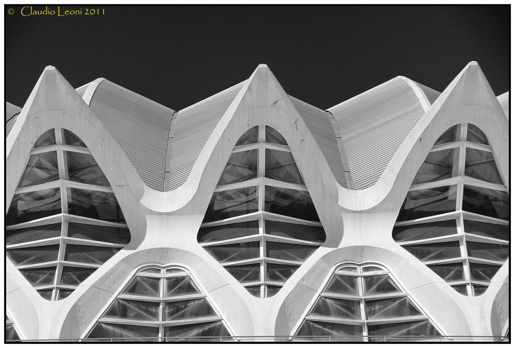 Museo-de-les-Ciences-Prìncipe-Felipe 10