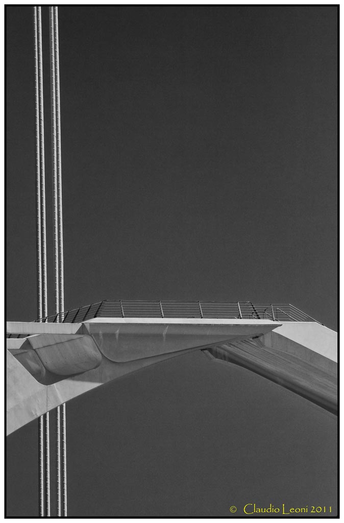 Museo-de-les-Ciences-Prìncipe-Felipe 11