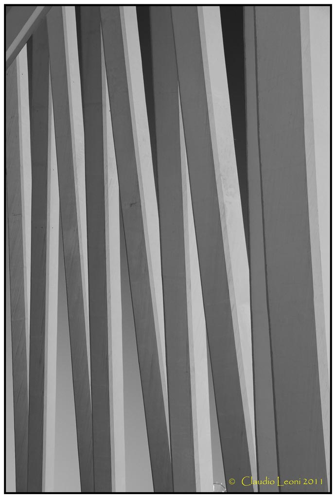 Museo-de-les-Ciences-Prìncipe-Felipe 12