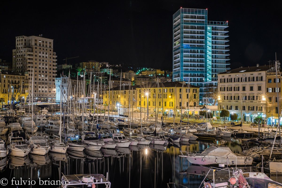Savona Harbor Commercial Zone
