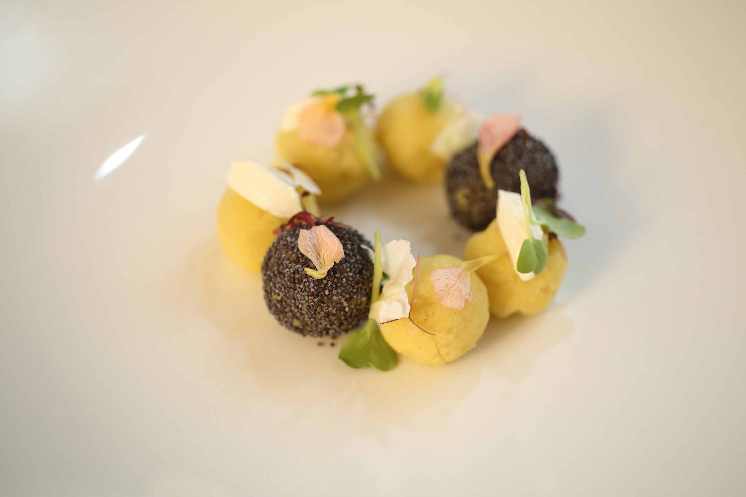 Balls wasaby gnocchi, soft cheese and onion consomme