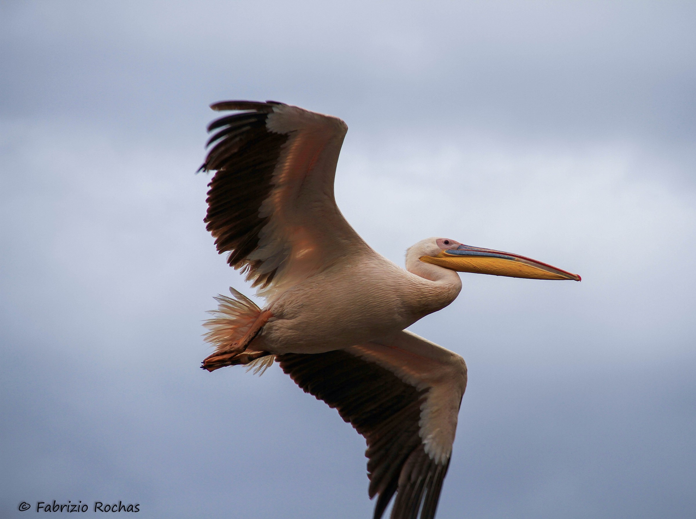 Nakuru National Park