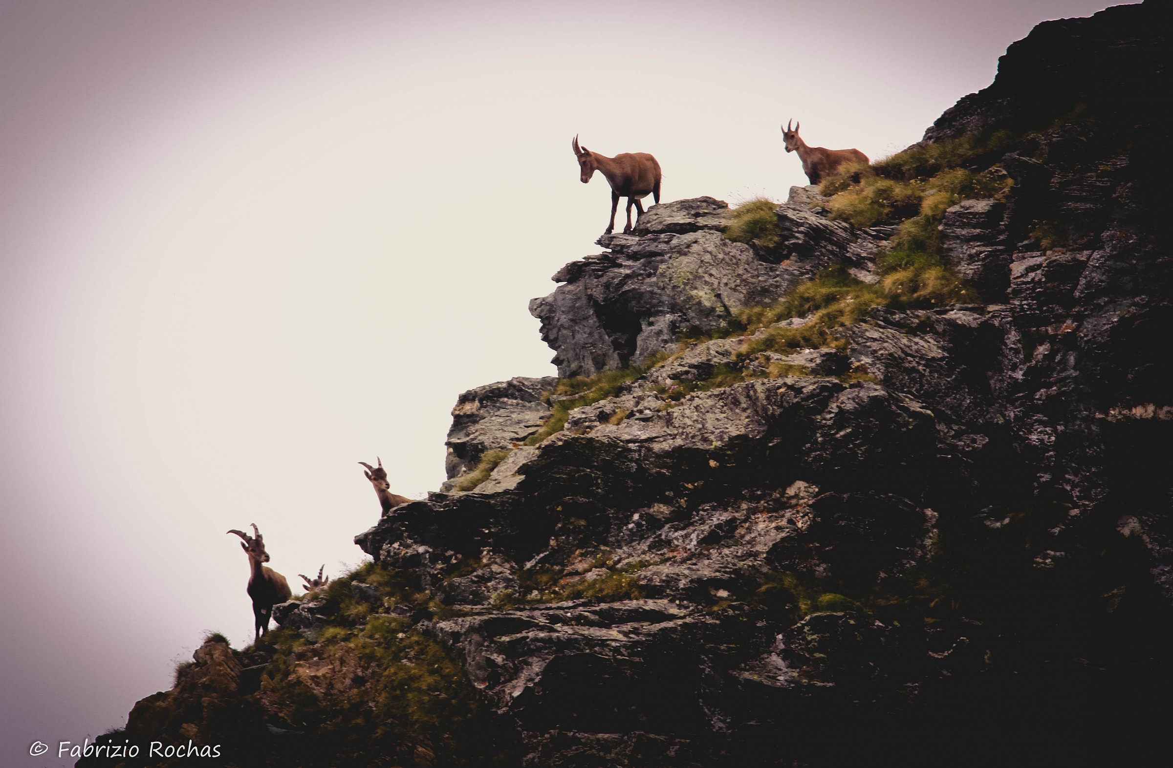Accerchiamento durante la salita.....