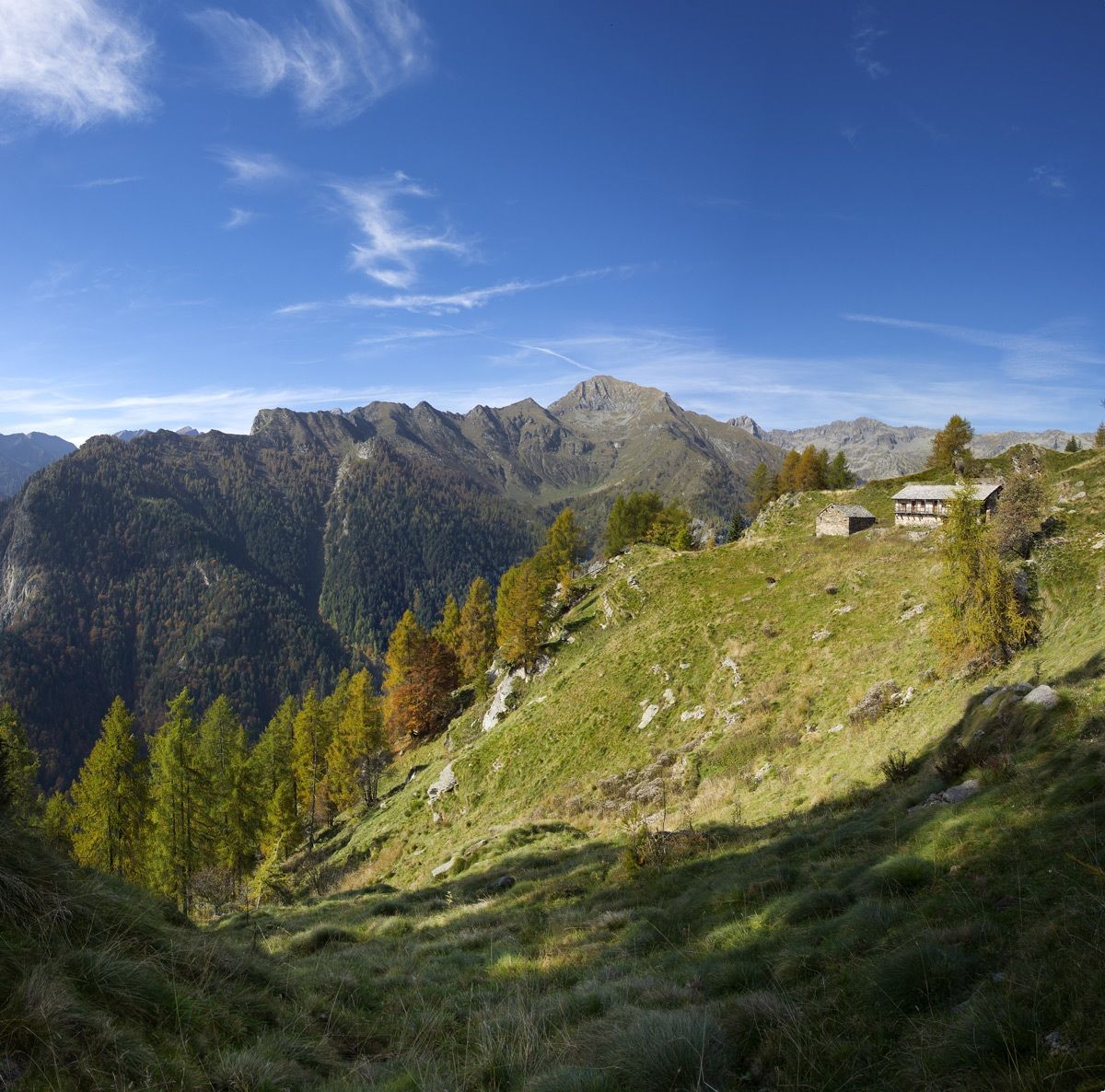 Rimasco- Alpe Saddles