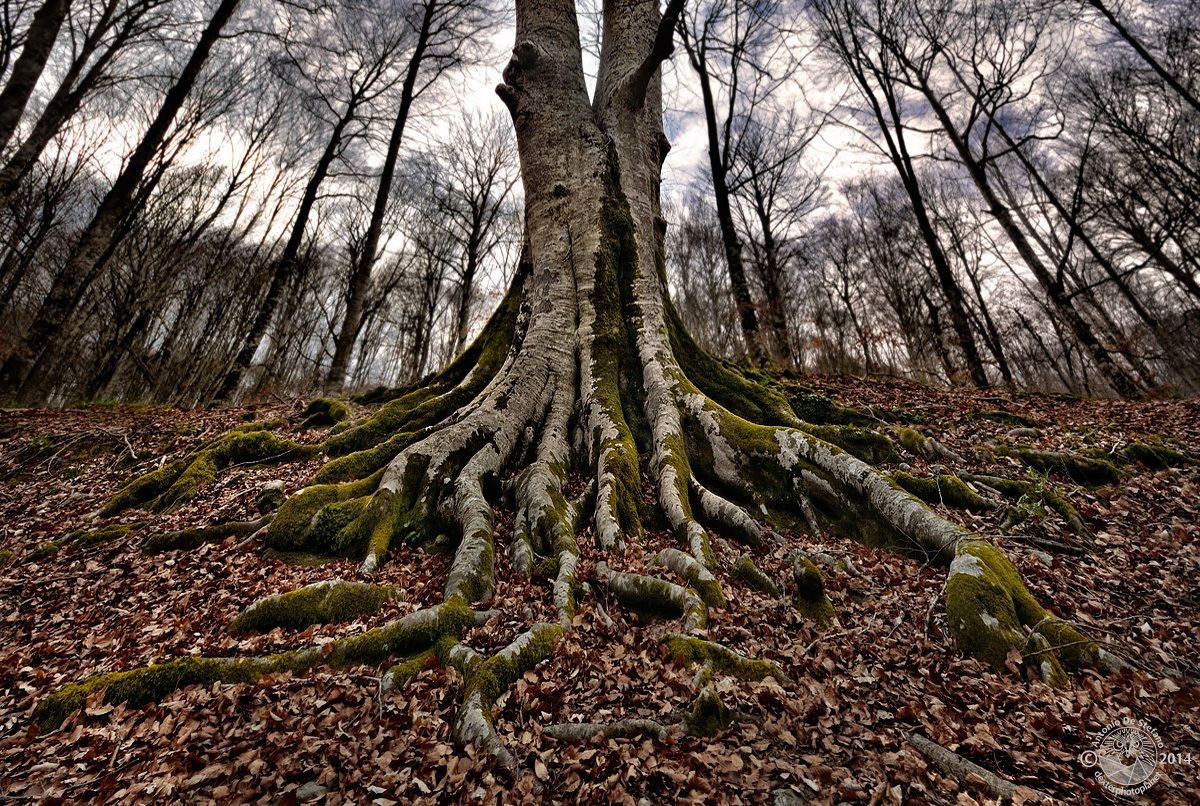 The refuge of the headless horseman