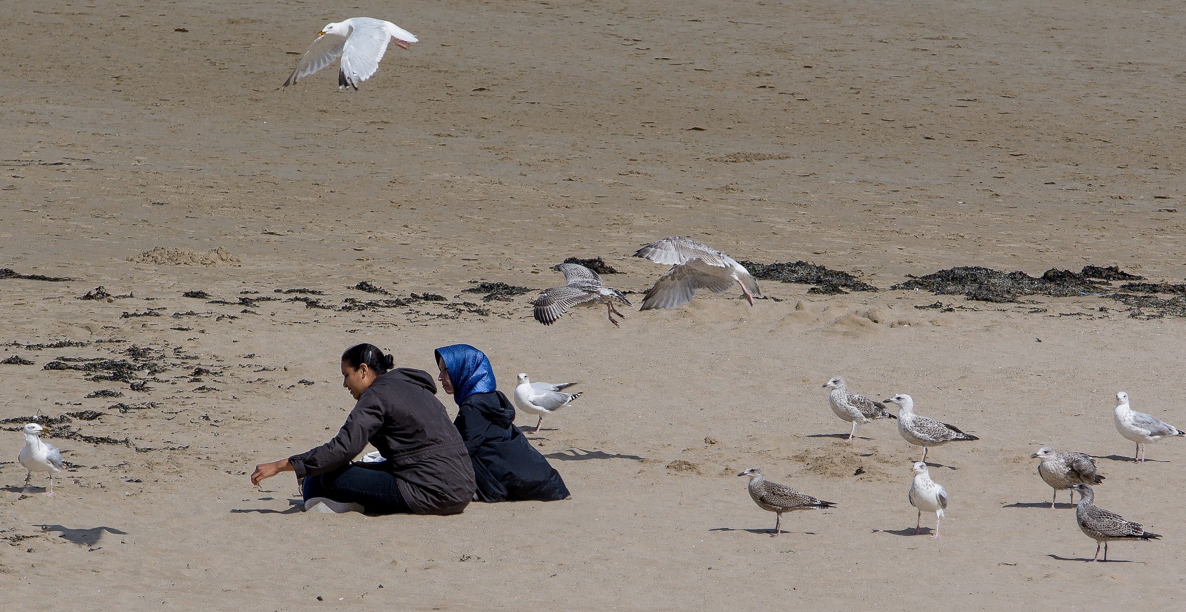 thoughts light to distant lands .............