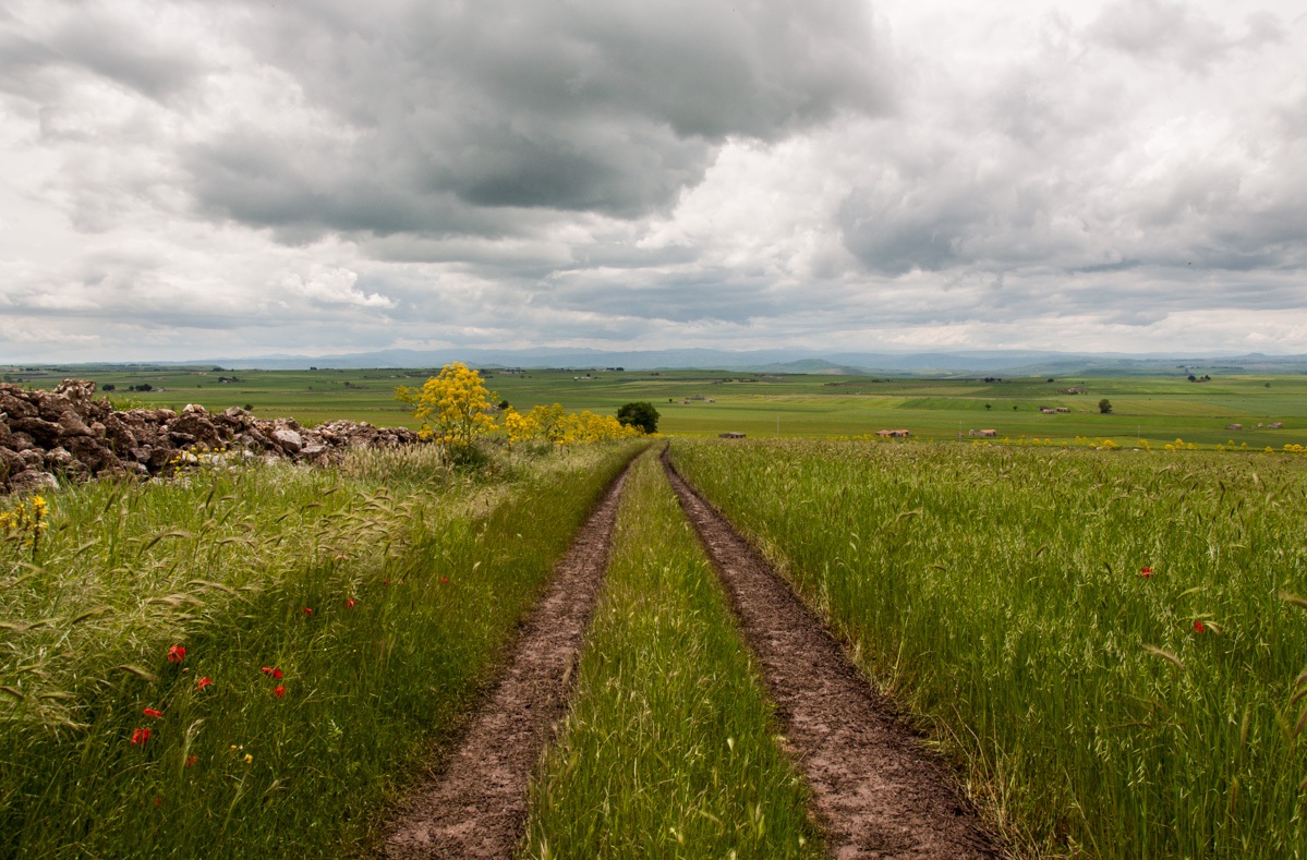 Landscapes of the Murgia "Puglia"