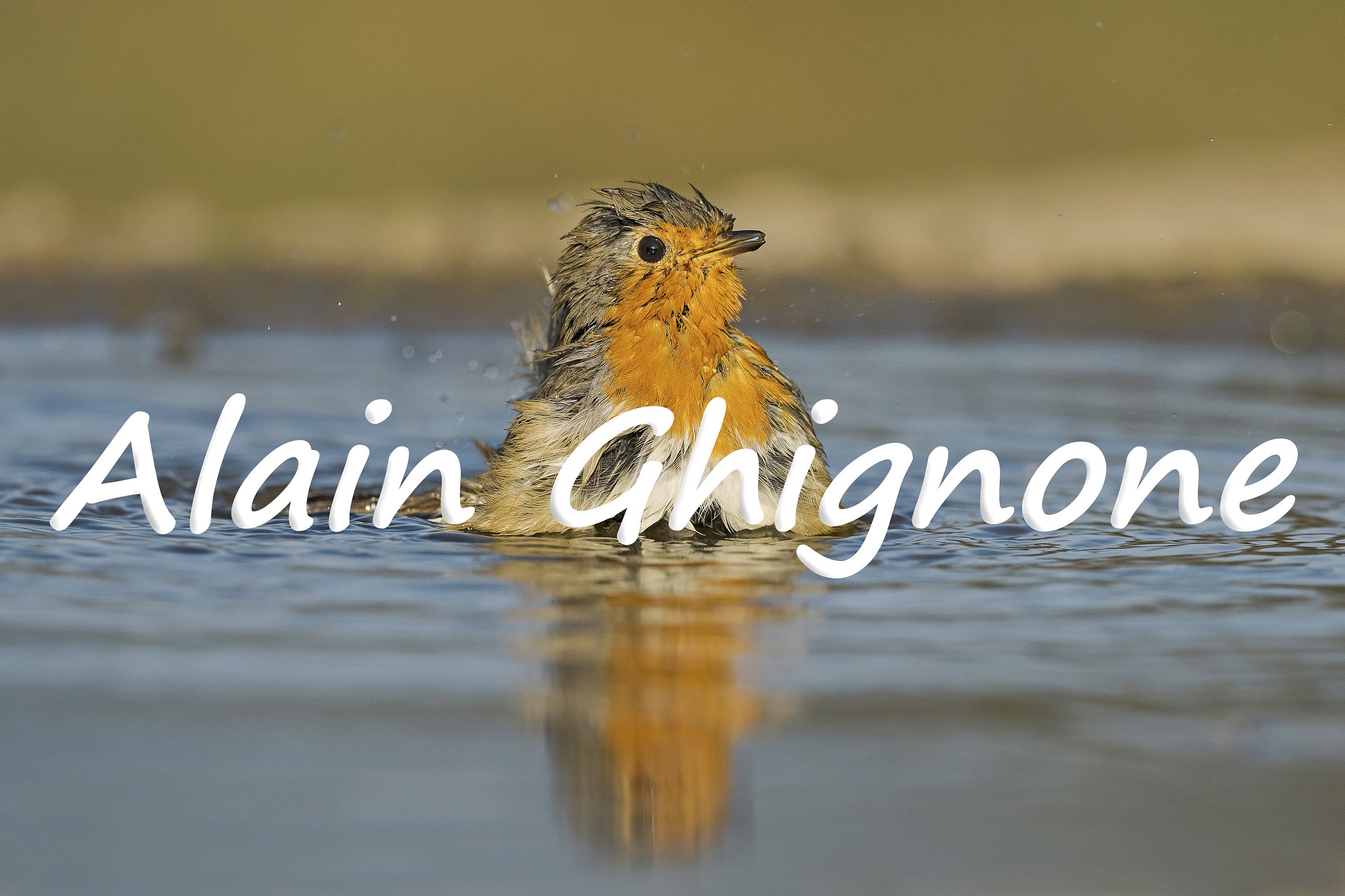 galleggia o non galleggia???