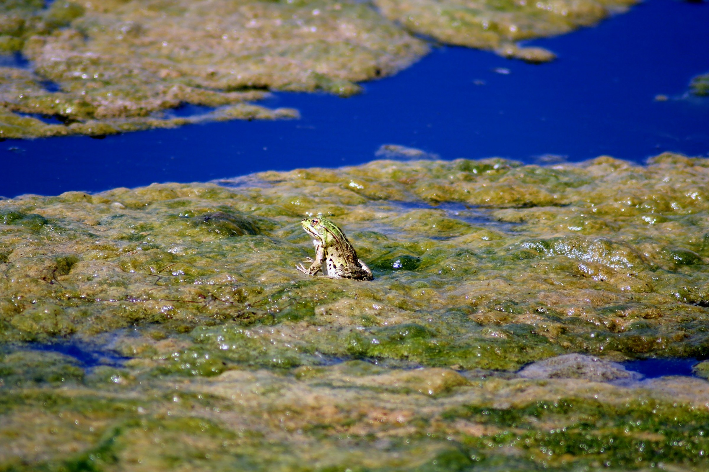 better that one .....