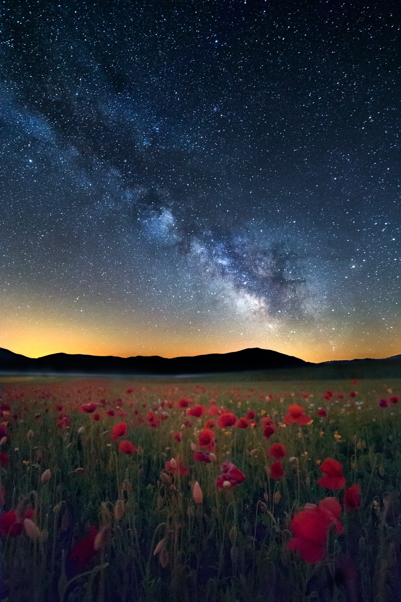 Nella notte incantata