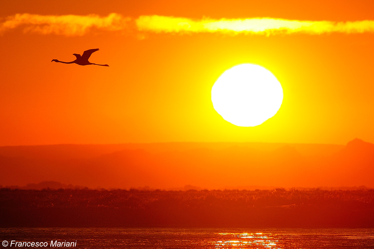L'Aube Camarguais  02