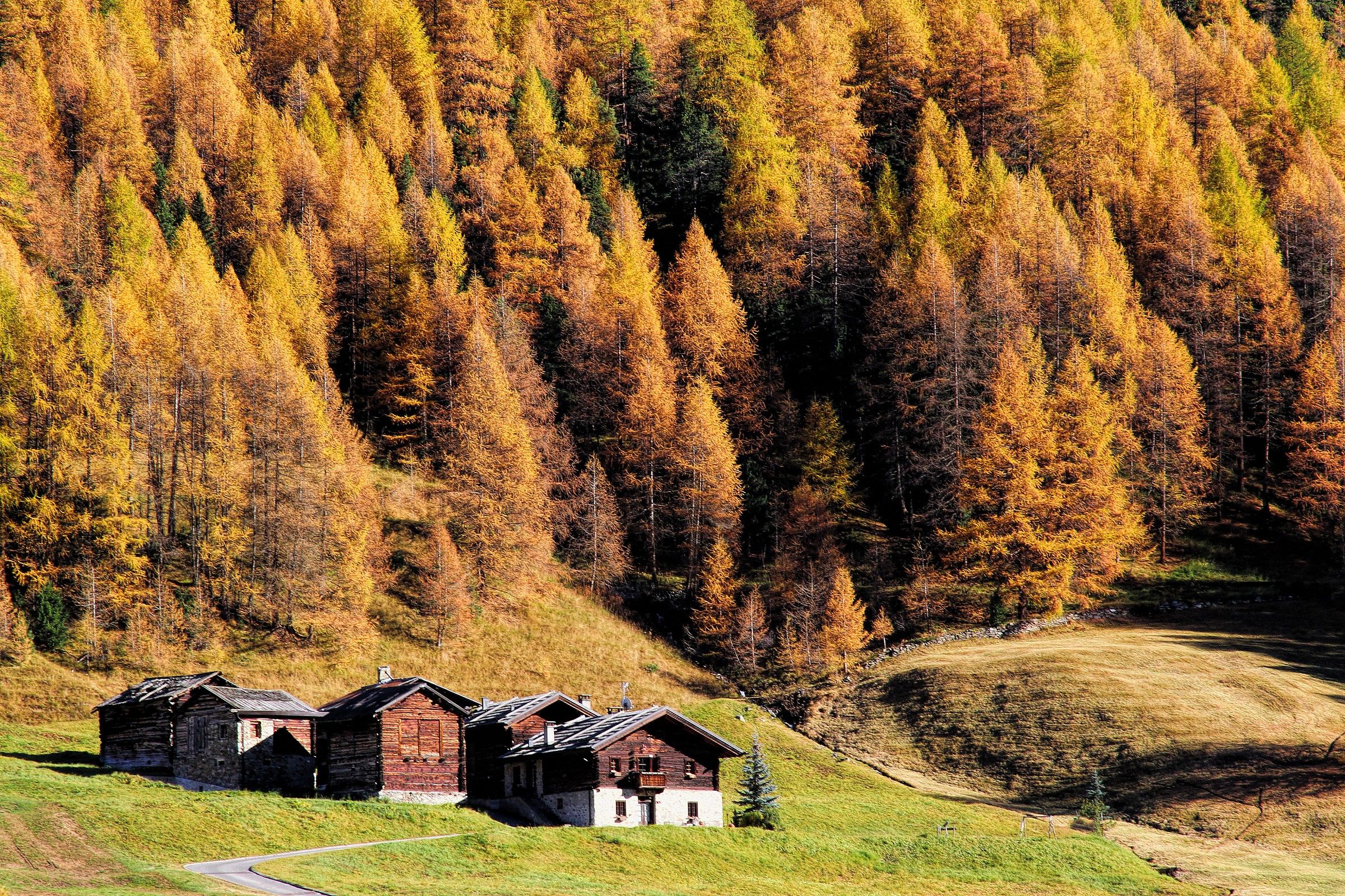 Livigno