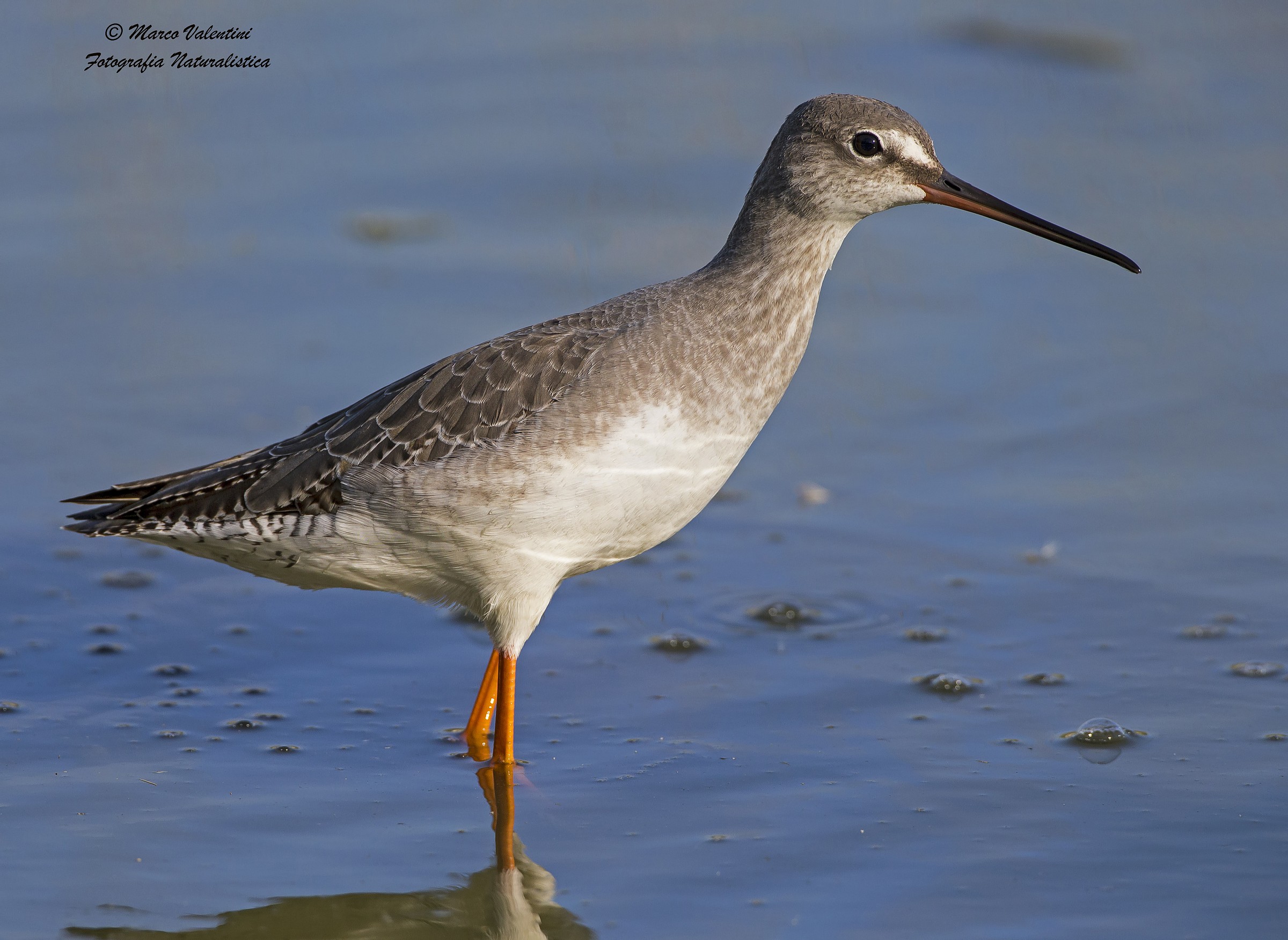 Moro in the foreground