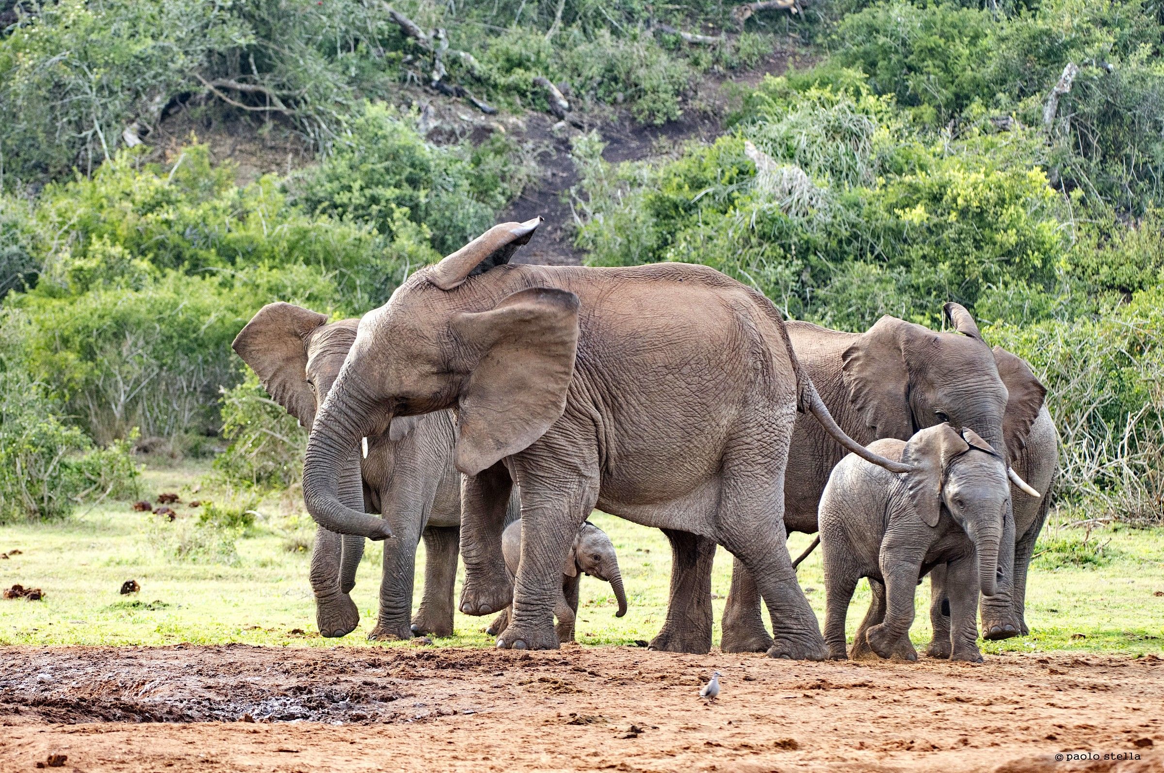 puddle - 5: furious!