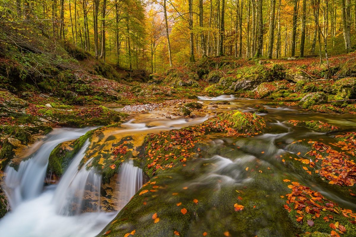 C'era una volta d' autunno...