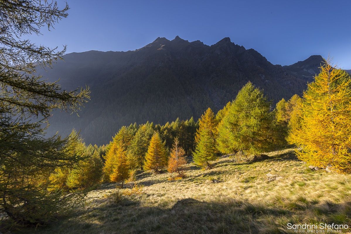 L'ultima luce della sera