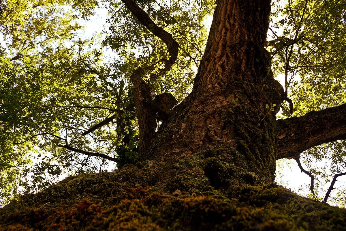 A matter of perspective