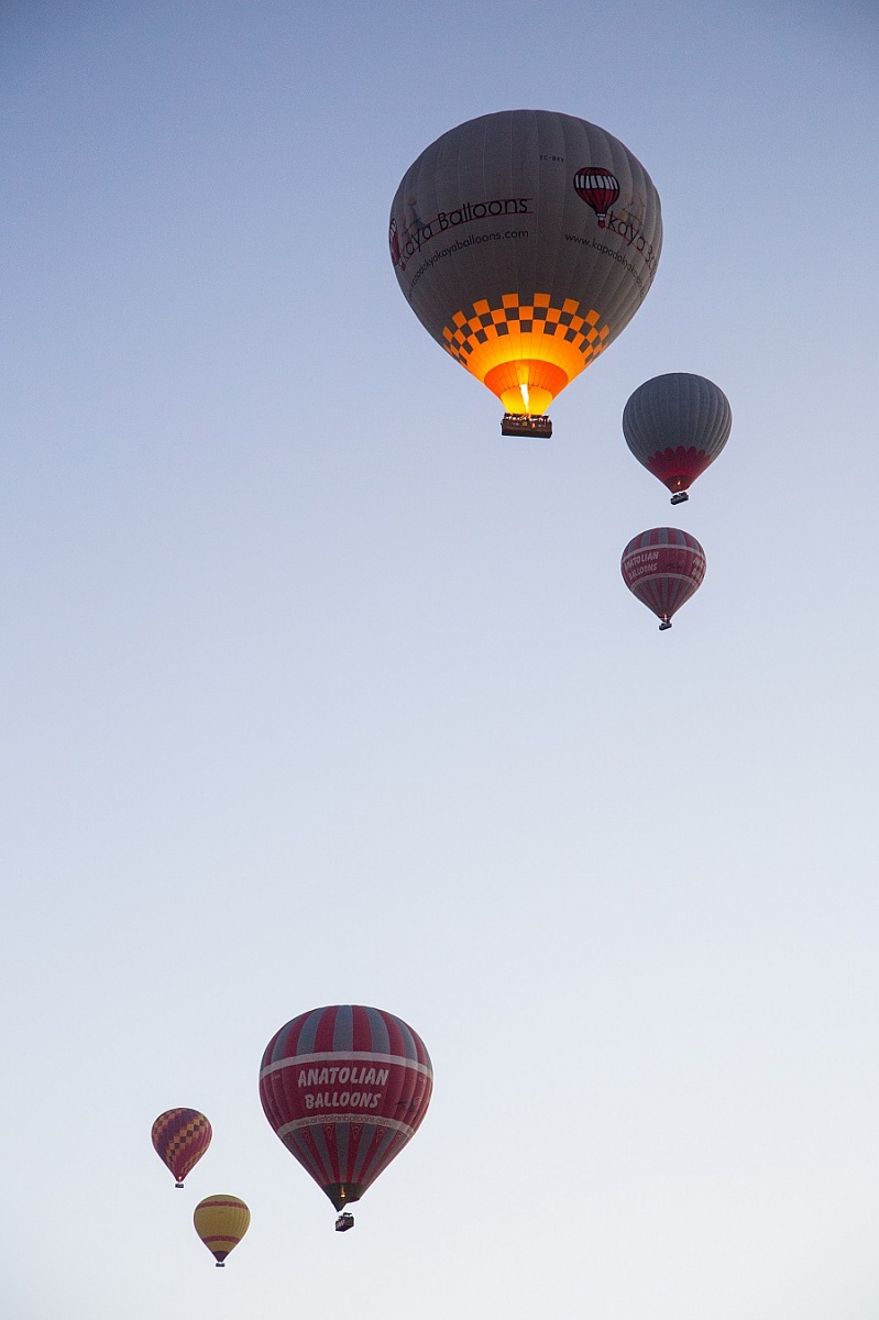 Come una carta da gioco