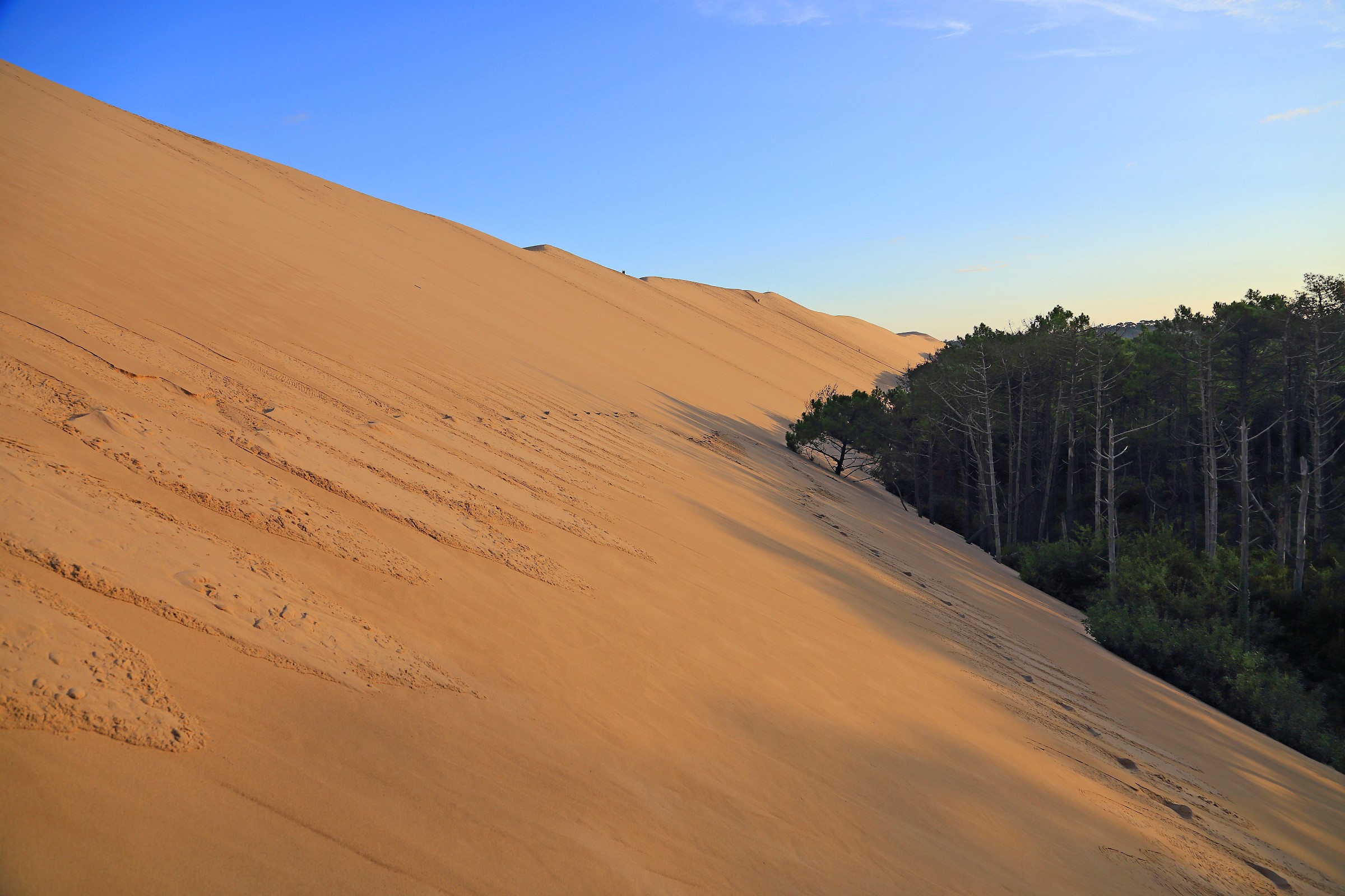 Dune of Pyla - France