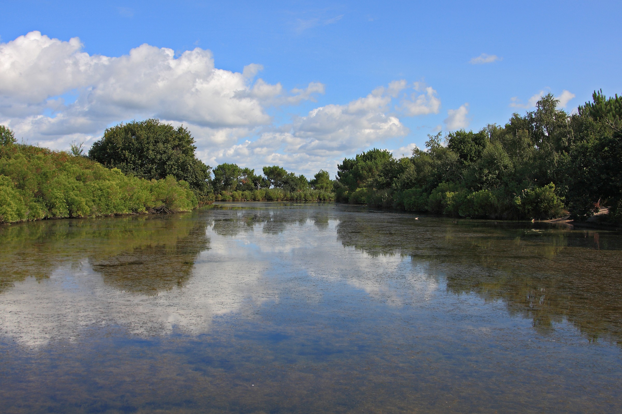 The bird park Tec - Pilat - France