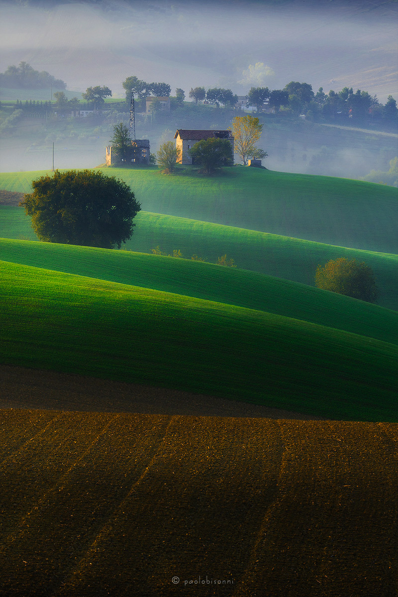 On the Waves (Vertical)