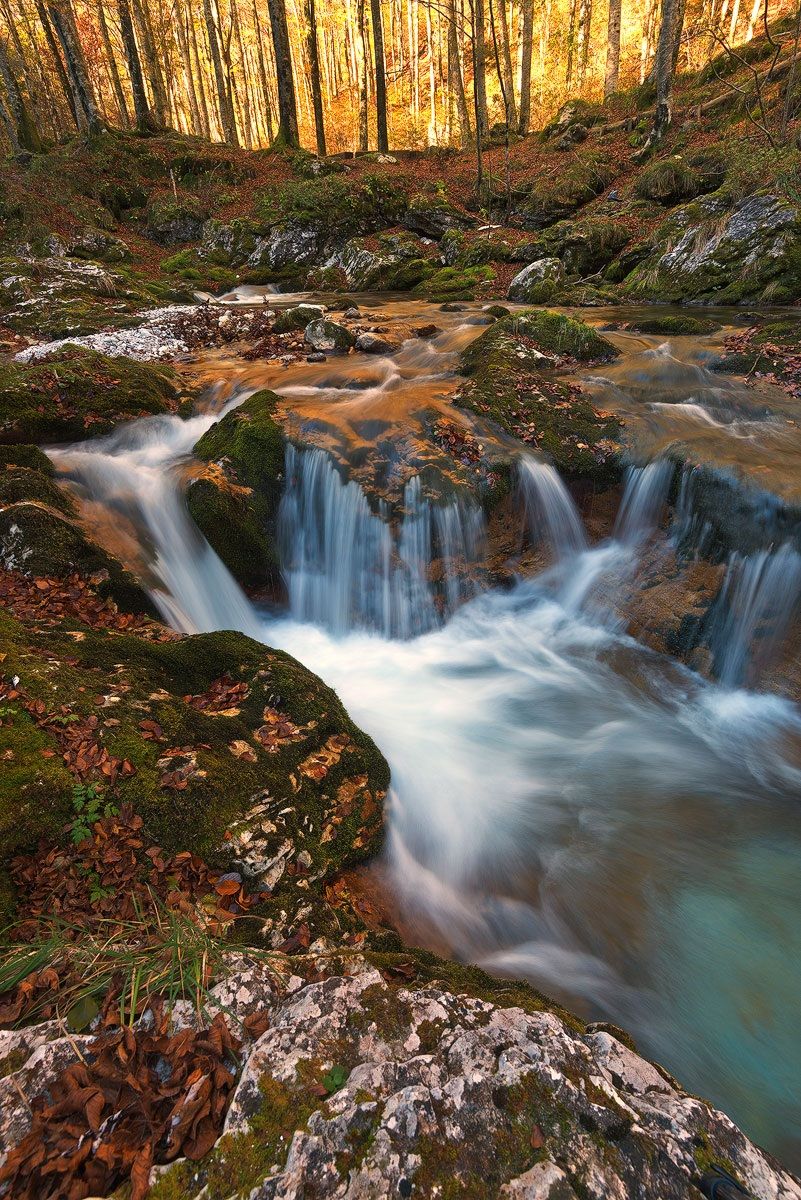 Oro e ambra in Val Arzino.