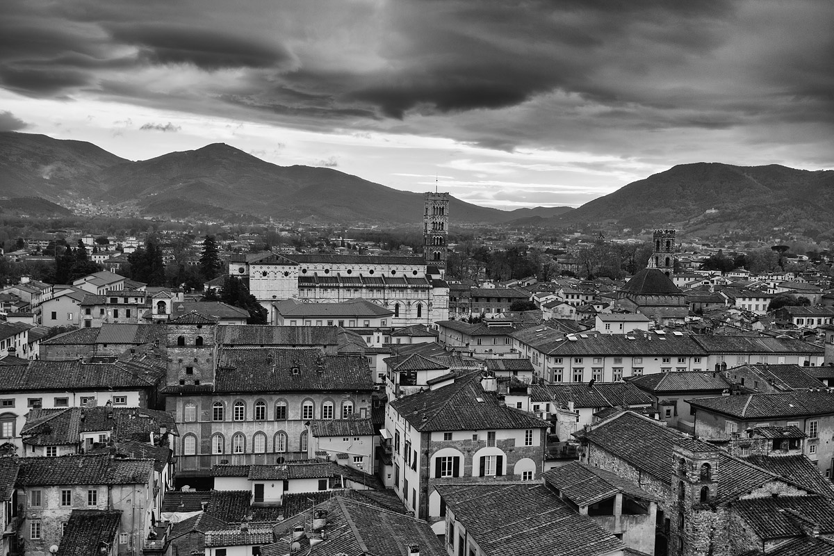 Lucca seen from Torre Guinigi