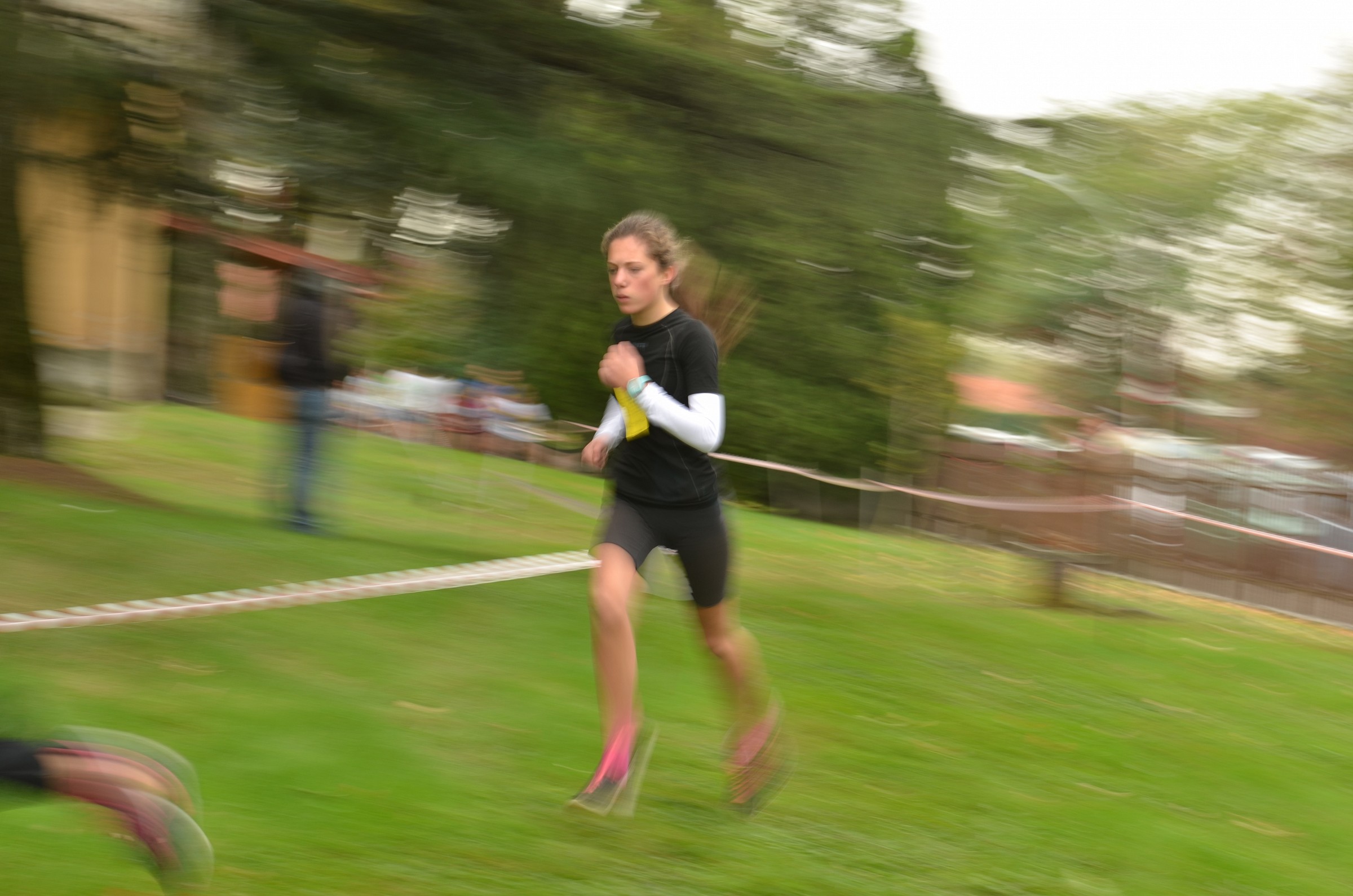 panning alla campestre