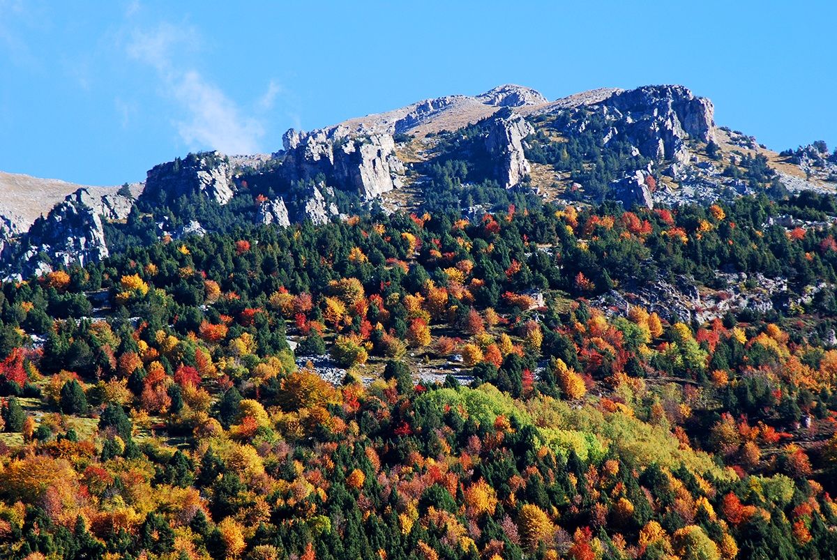 Ligurian Alps Autumn