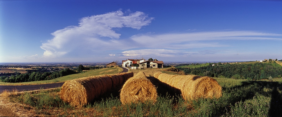 Carpaneto Piacentino, campagna