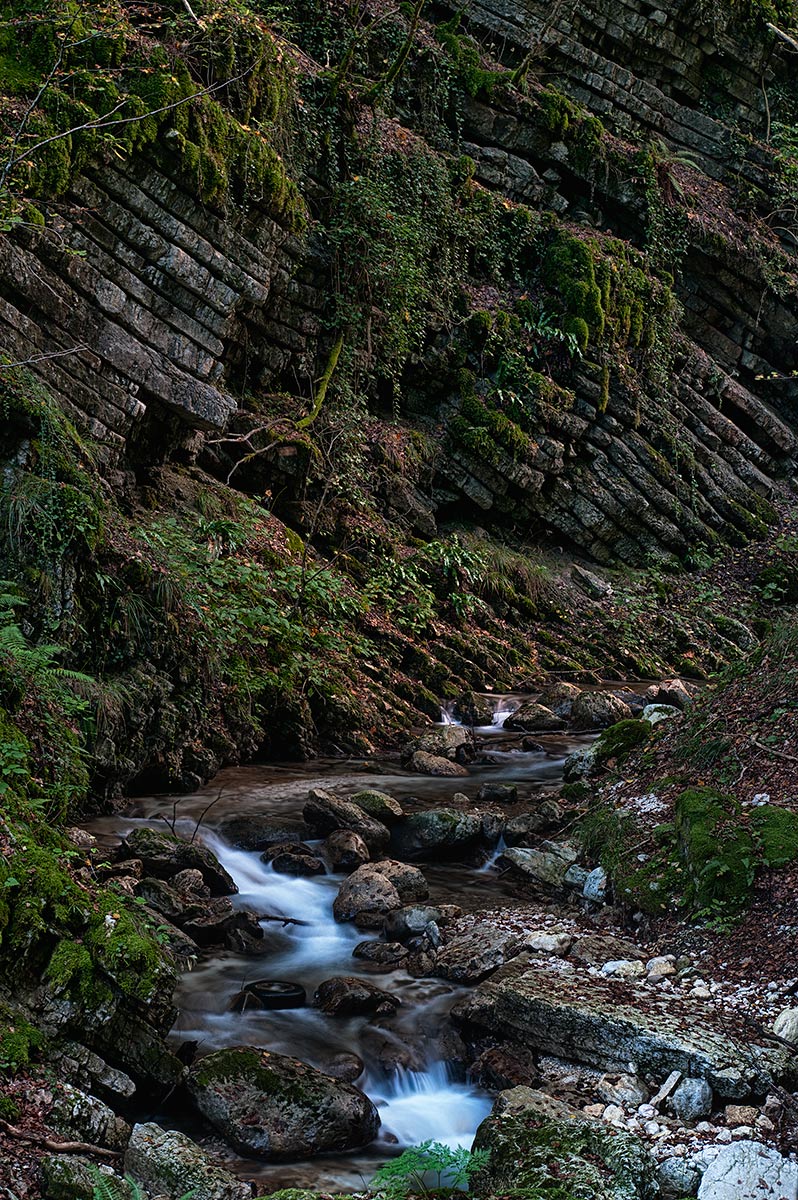 The story in the rocks